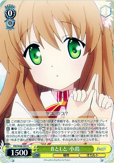 BとLと 小鳥 【WSRW-W48-005R】