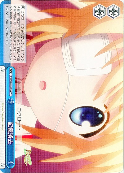 記憶消去 【WSRW-W48-099CC】