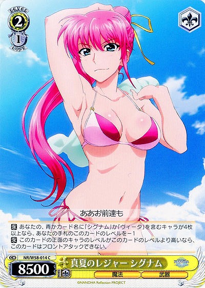 真夏のレジャー シグナム 【W58-014C】