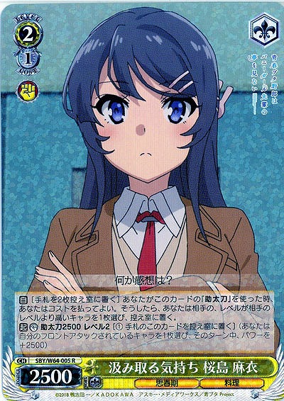汲み取る気持ち 桜島 麻衣 【SBY-W64-005R】