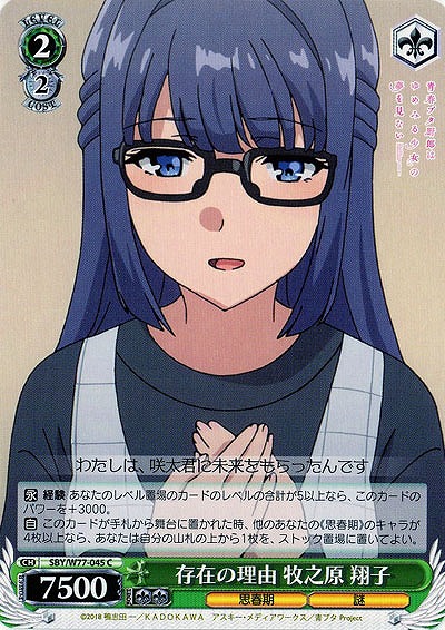 存在の理由 牧之原 翔子 【SBY-W77-045C】