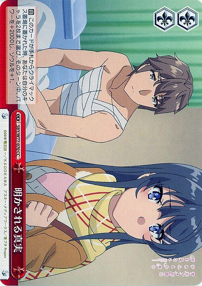 明かされる真実 【SBY-W77-070CC】