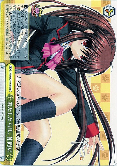 あたしたちは、仲間だ 【Klb-W78-040CR】