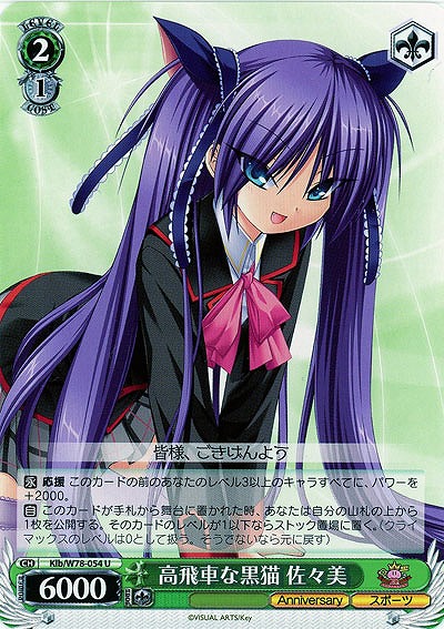 高飛車な黒猫 佐々美 【Klb-W78-054U】