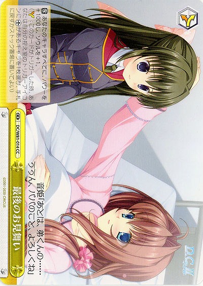 最後のお見舞い 【DC-W81-014CC】