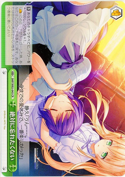 絶対に忘れたくない 【SMP-W82-045CR】