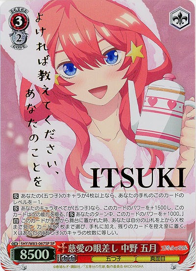 【キズ有り特価A】 慈愛の眼差し 中野 五月(SP) 【5HY-W83-067SPSP】