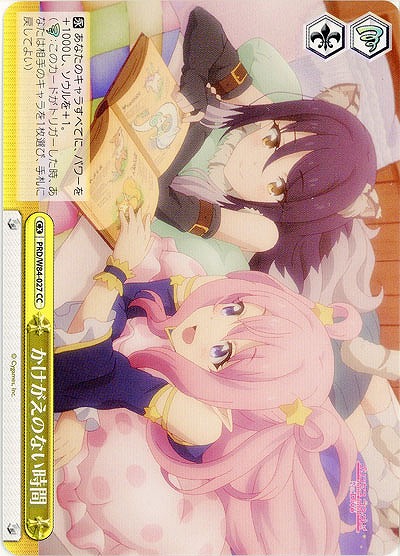 かけがえのない時間 【PRD-W84-027CC】