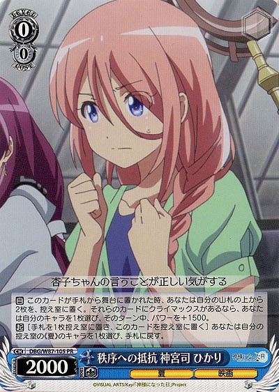 秩序への抵抗 神宮司 ひかり 【DBG-W87-105PR】