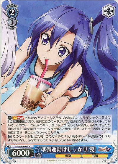 準備運動はしっかり 翼 【SG-W89-085R】