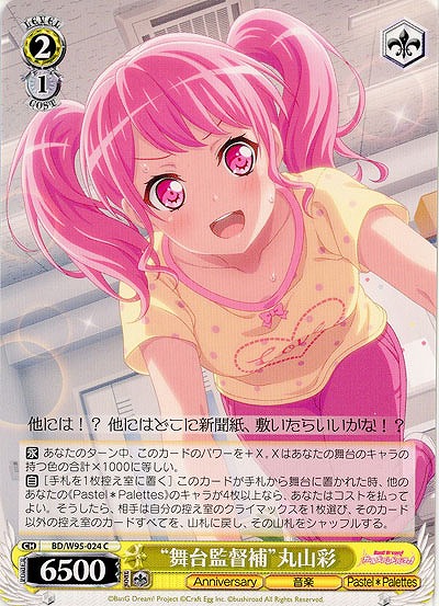 “舞台監督補”丸山 彩 【BD/W95/024C】