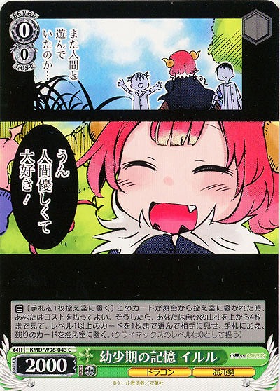 幼少期の記憶 イルル 【KMD/W96/043C】