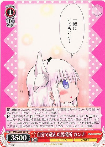 自分で選んだ居場所 カンナ 【KMD/W96/067C】