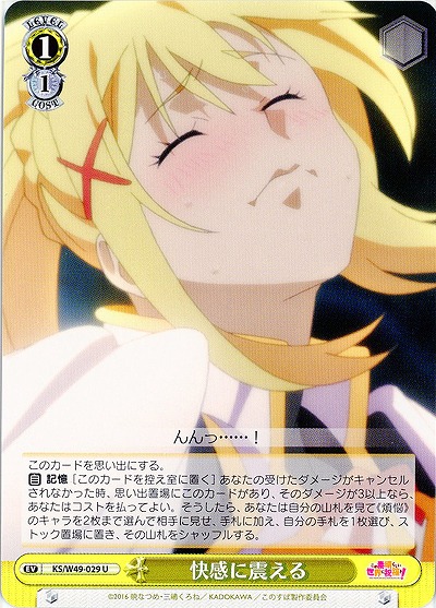 快感に震える 【WSKS-W49-029U】