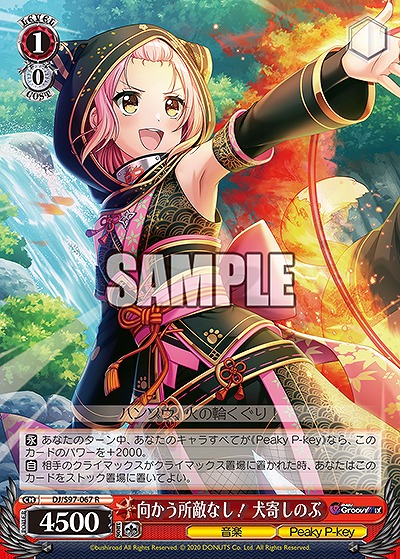 向かう所敵なし! 犬寄しのぶ 【DJ/S97/067R】