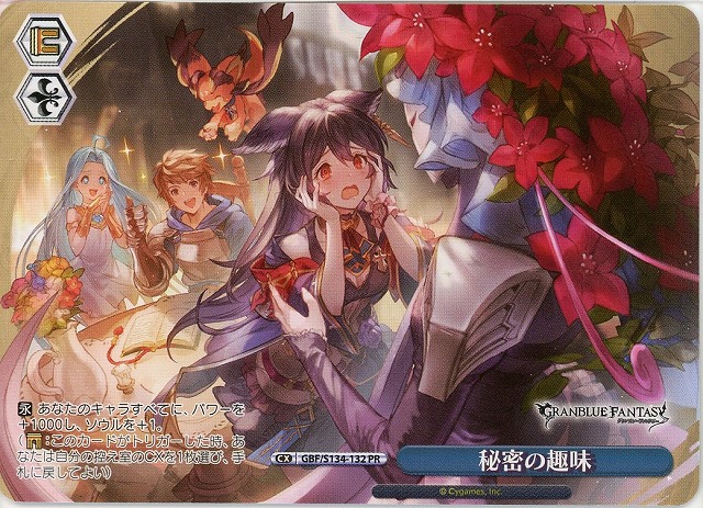 秘密の趣味 (PR) 【GBF/S134-132PR】