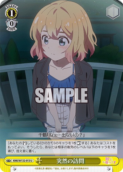 突然の訪問 【KNK/W132-013U】