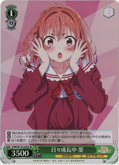 日々成長中 墨(ホイル) 【KNK/W132-026SR】