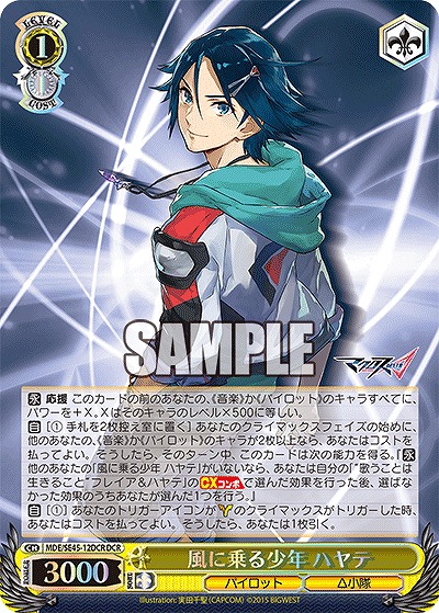 風に乗る少年 ハヤテ(DCR) 【MDE/SE45/12DCR】