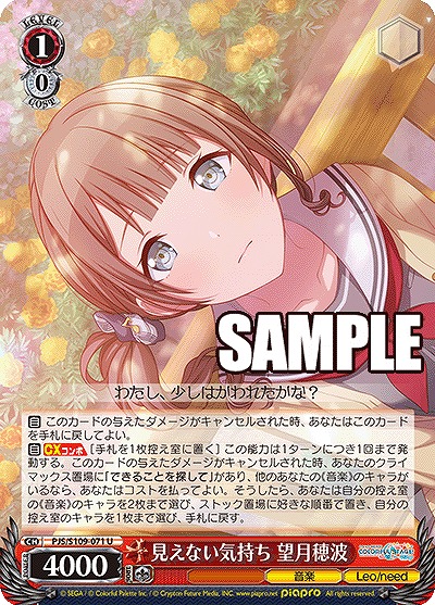 見えない気持ち 望月穂波 【PJS/S109/071U】