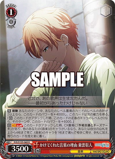 かけてくれた言葉の理由 東雲彰人 【PJS/S125-065R】