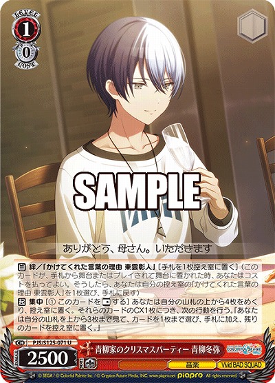 青柳家のクリスマスパーティー 青柳冬弥 【PJS/S125-071U】