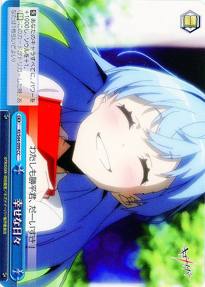 幸せな日々 【KI-S44-099CC】