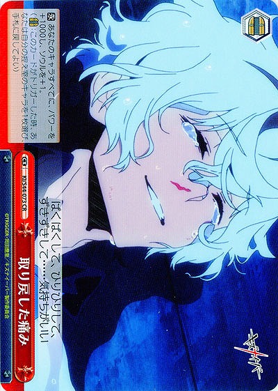 取り戻した痛み 【KI-S44-073CR】