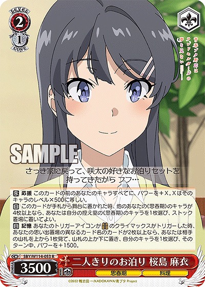 二人きりのお泊り 桜島 麻衣 【SBY/W114/053R】