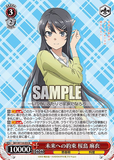 未来への約束 桜島 麻衣 【SBY/W114/054R】
