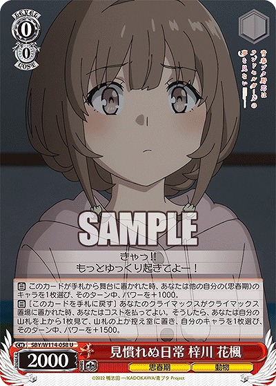 見慣れぬ日常 梓川 花楓 【SBY/W114/058U】