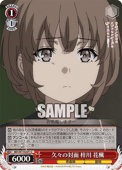 久々の対面 梓川 花楓 【SBY/W114/071C】