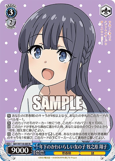 年下のかわいらしい女の子 牧之原 翔子 【SBY/W114/085R】