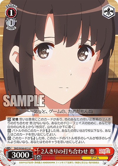 2人きりの打ち合わせ 恵 【SHS/W98/073U】