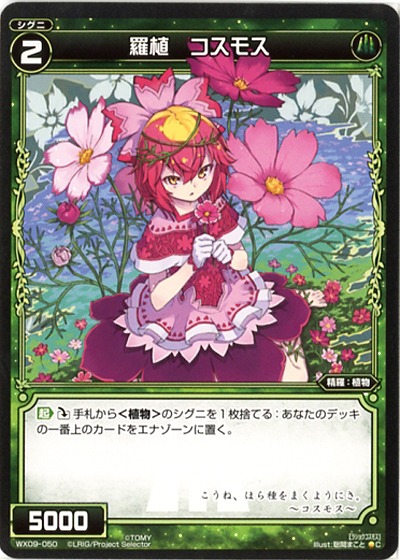 羅植　コスモス 【WX09-050C】