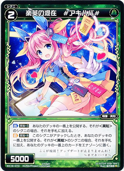 楽英の混在 #アキハバ# 【WX18-073C】