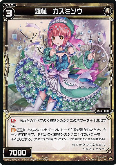 羅植 カスミソウ 【WXK04-037R】