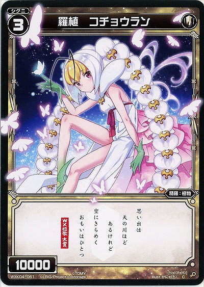 羅植 コチョウラン 【WXK04-061C】