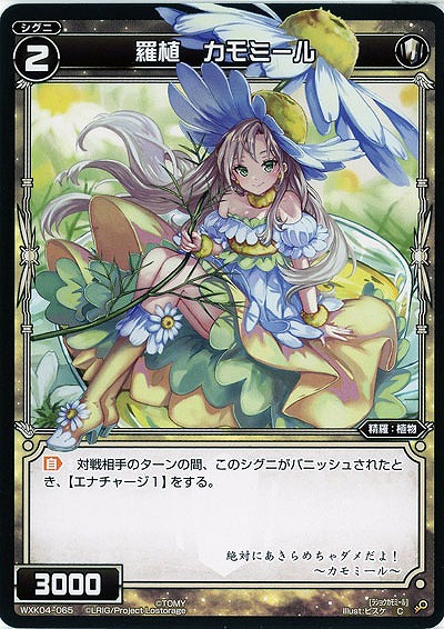 羅植 カモミール 【WXK04-065C】