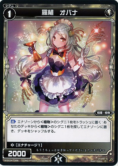 羅植 オバナ 【WXK04-066C】