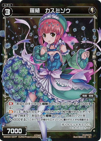 羅植 カスミソウ[ホロ] 【WXK04-037P】