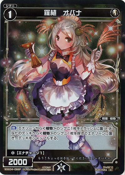 羅植 オバナ[ホロ] 【WXK04-066P】