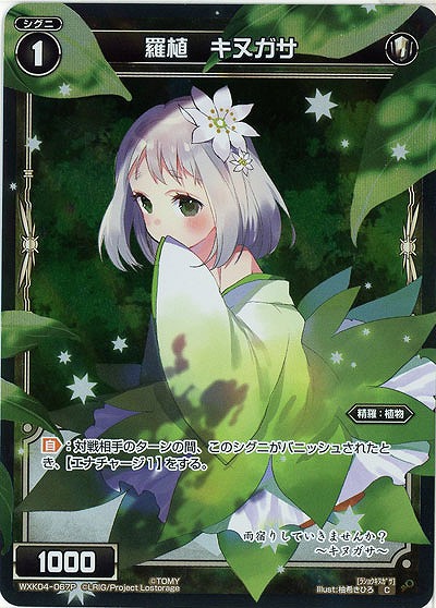 羅植 キヌガサ[ホロ] 【WXK04-067P】