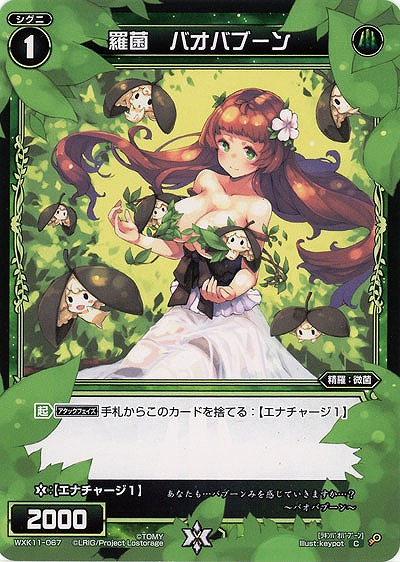 羅菌 バオバブーン  【WXK11-067C】