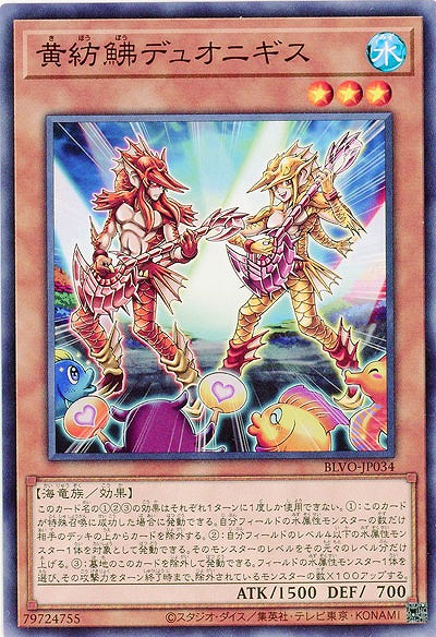 黄紡鮄デュオニギス【BLVO-JP034】