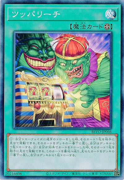 ツッパリーチ【BLVO-JP066NR】