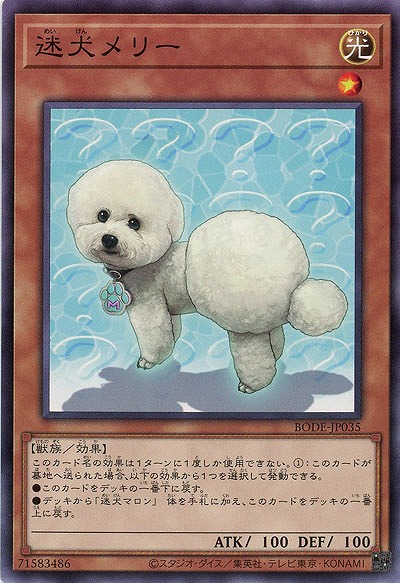 迷犬メリー【BODE-JP035NR】