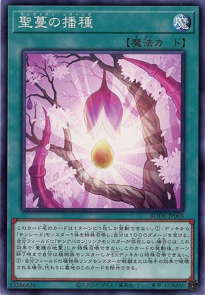 聖蔓の播種【BODE-JP065】
