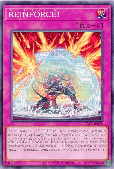 REINFORCE!【CYAC-JP075】