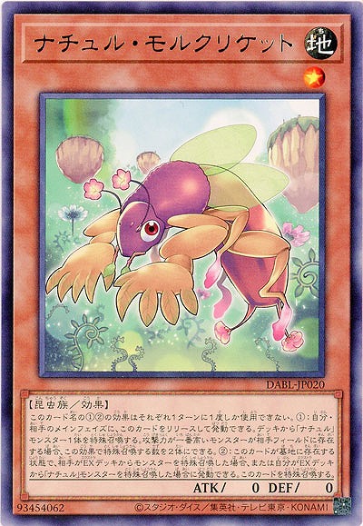 ナチュル・モルクリケット【DABL-JP020R】
